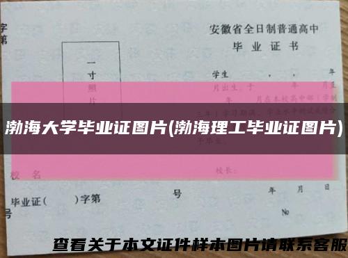 渤海大学毕业证图片(渤海理工毕业证图片)缩略图