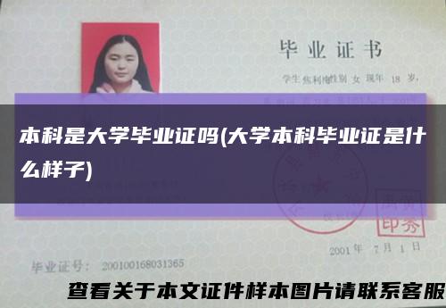 本科是大学毕业证吗(大学本科毕业证是什么样子)缩略图