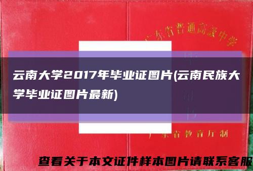 云南大学2017年毕业证图片(云南民族大学毕业证图片最新)缩略图