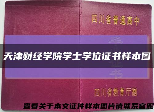 天津财经学院学士学位证书样本图缩略图