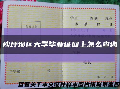 沙坪坝区大学毕业证网上怎么查询缩略图
