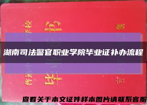 湖南司法警官职业学院毕业证补办流程缩略图