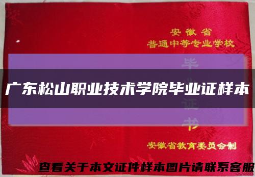 广东松山职业技术学院毕业证样本缩略图