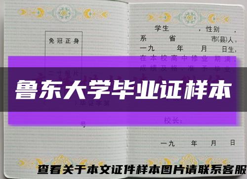 鲁东大学毕业证样本缩略图
