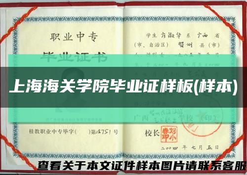 上海海关学院毕业证样板(样本)缩略图