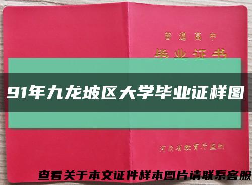 91年九龙坡区大学毕业证样图缩略图