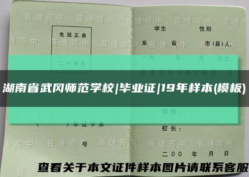 湖南省武冈师范学校|毕业证|19年样本(模板)缩略图