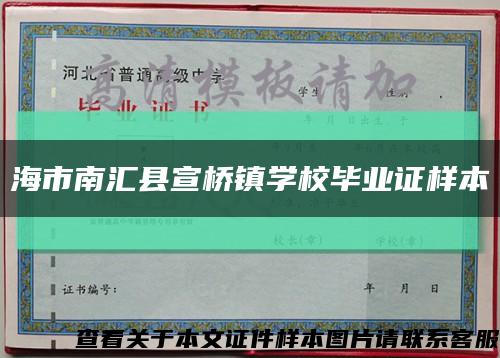 海市南汇县宣桥镇学校毕业证样本缩略图