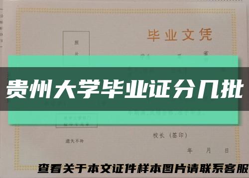 贵州大学毕业证分几批缩略图