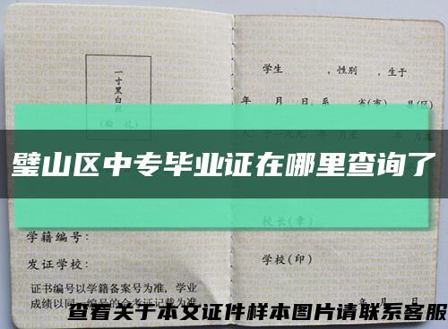 璧山区中专毕业证在哪里查询了缩略图