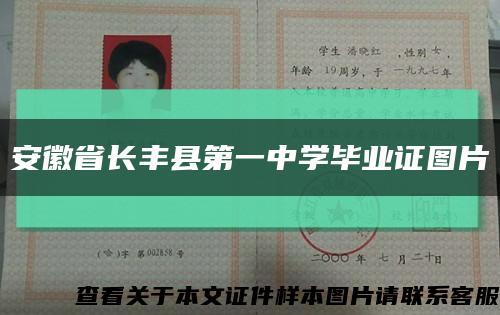 安徽省长丰县第一中学毕业证图片缩略图