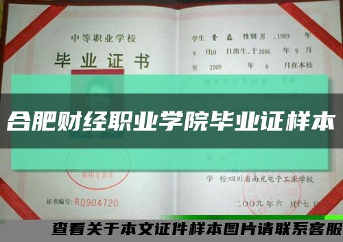 合肥财经职业学院毕业证样本缩略图