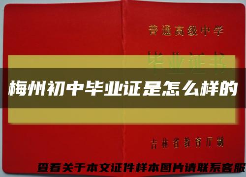 梅州初中毕业证是怎么样的缩略图