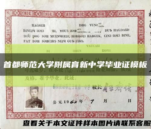 首都师范大学附属育新中学毕业证模板缩略图