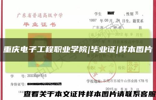 重庆电子工程职业学院|毕业证|样本图片缩略图