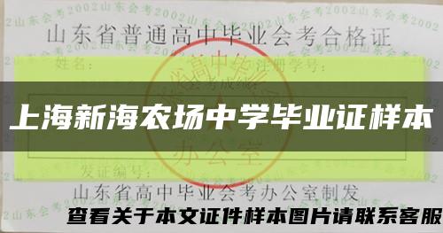 上海新海农场中学毕业证样本缩略图