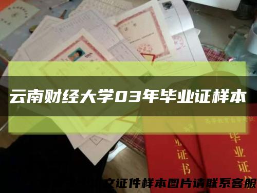 云南财经大学03年毕业证样本缩略图