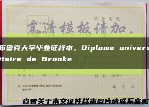 布鲁克大学毕业证样本，Diplome universitaire de Brooke缩略图