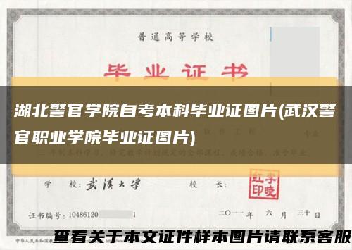 湖北警官学院自考本科毕业证图片(武汉警官职业学院毕业证图片)缩略图