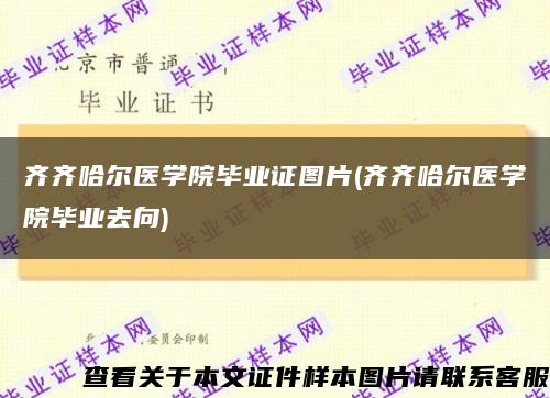 齐齐哈尔医学院毕业证图片(齐齐哈尔医学院毕业去向)缩略图
