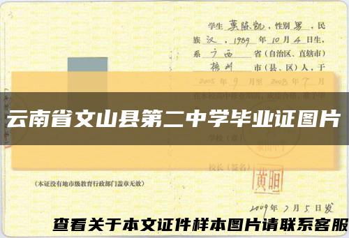 云南省文山县第二中学毕业证图片缩略图