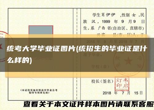 统考大学毕业证图片(统招生的毕业证是什么样的)缩略图