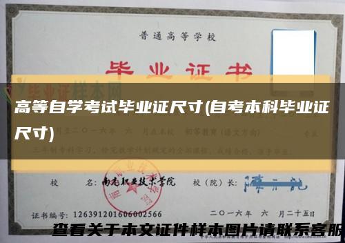 高等自学考试毕业证尺寸(自考本科毕业证尺寸)缩略图