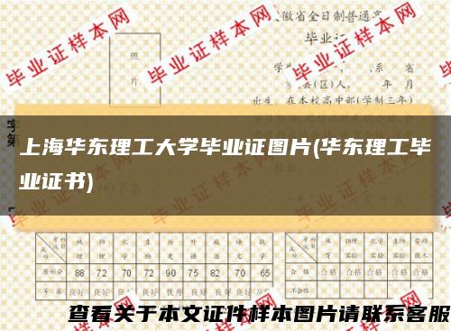 上海华东理工大学毕业证图片(华东理工毕业证书)缩略图