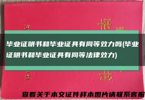 毕业证明书和毕业证具有同等效力吗(毕业证明书和毕业证具有同等法律效力)缩略图