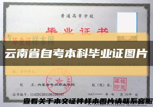 云南省自考本科毕业证图片缩略图