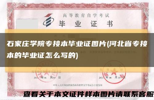 石家庄学院专接本毕业证图片(河北省专接本的毕业证怎么写的)缩略图