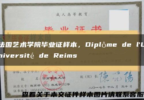 法国艺术学院毕业证样本，Diplôme de l'Université de Reims缩略图