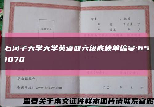 石河子大学大学英语四六级成绩单编号:651070缩略图