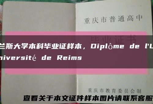 兰斯大学本科毕业证样本，Diplôme de l'Université de Reims缩略图