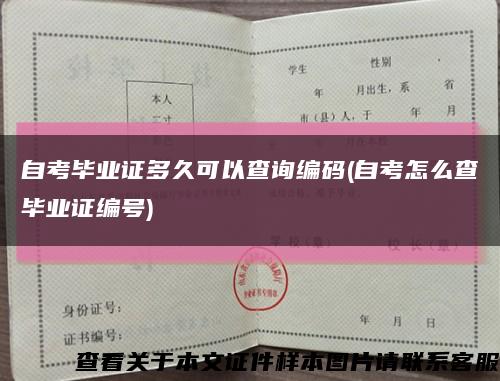 自考毕业证多久可以查询编码(自考怎么查毕业证编号)缩略图