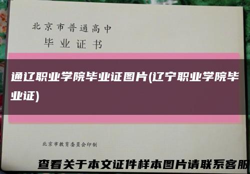 通辽职业学院毕业证图片(辽宁职业学院毕业证)缩略图