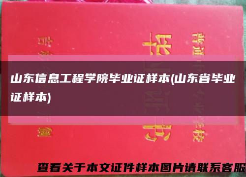 山东信息工程学院毕业证样本(山东省毕业证样本)缩略图