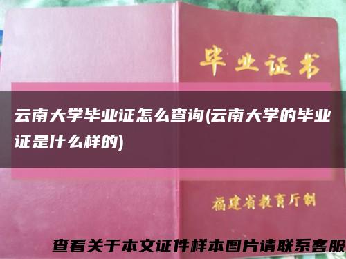 云南大学毕业证怎么查询(云南大学的毕业证是什么样的)缩略图