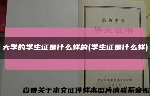 大学的学生证是什么样的(学生证是什么样)缩略图
