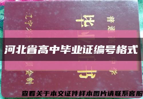 河北省高中毕业证编号格式缩略图