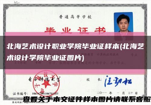 北海艺术设计职业学院毕业证样本(北海艺术设计学院毕业证图片)缩略图