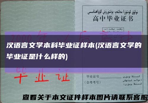 汉语言文学本科毕业证样本(汉语言文学的毕业证是什么样的)缩略图