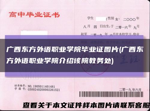 广西东方外语职业学院毕业证图片(广西东方外语职业学院介绍该院教务处)缩略图