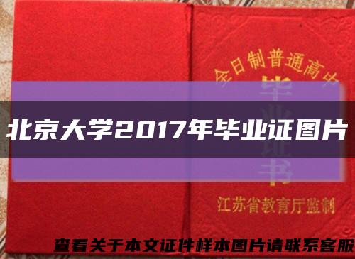 北京大学2017年毕业证图片缩略图