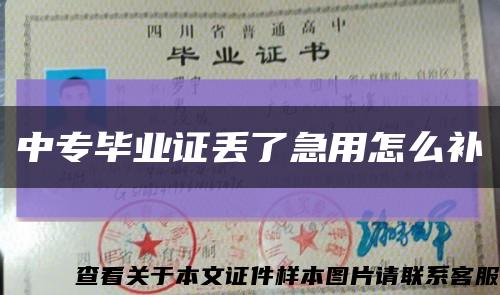 中专毕业证丢了急用怎么补缩略图