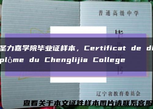 圣力嘉学院毕业证样本，Certificat de diplôme du Chenglijia College缩略图