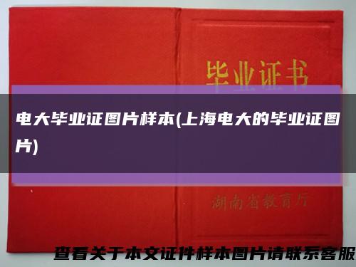 电大毕业证图片样本(上海电大的毕业证图片)缩略图