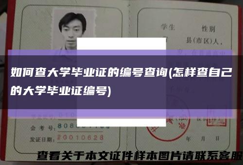 如何查大学毕业证的编号查询(怎样查自己的大学毕业证编号)缩略图