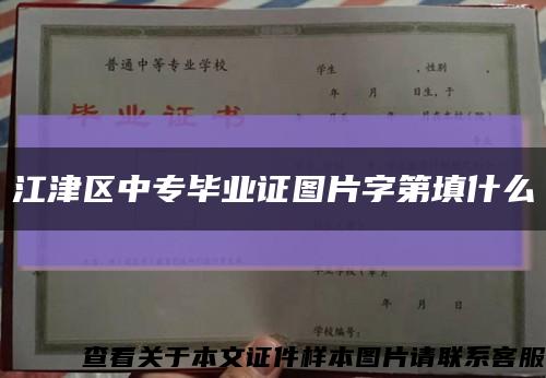 江津区中专毕业证图片字第填什么缩略图