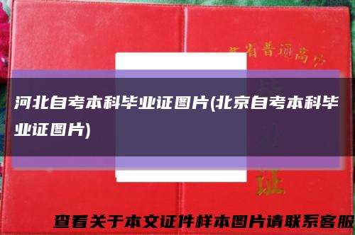 河北自考本科毕业证图片(北京自考本科毕业证图片)缩略图